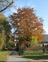 2011-10-31, Malerweg (39)